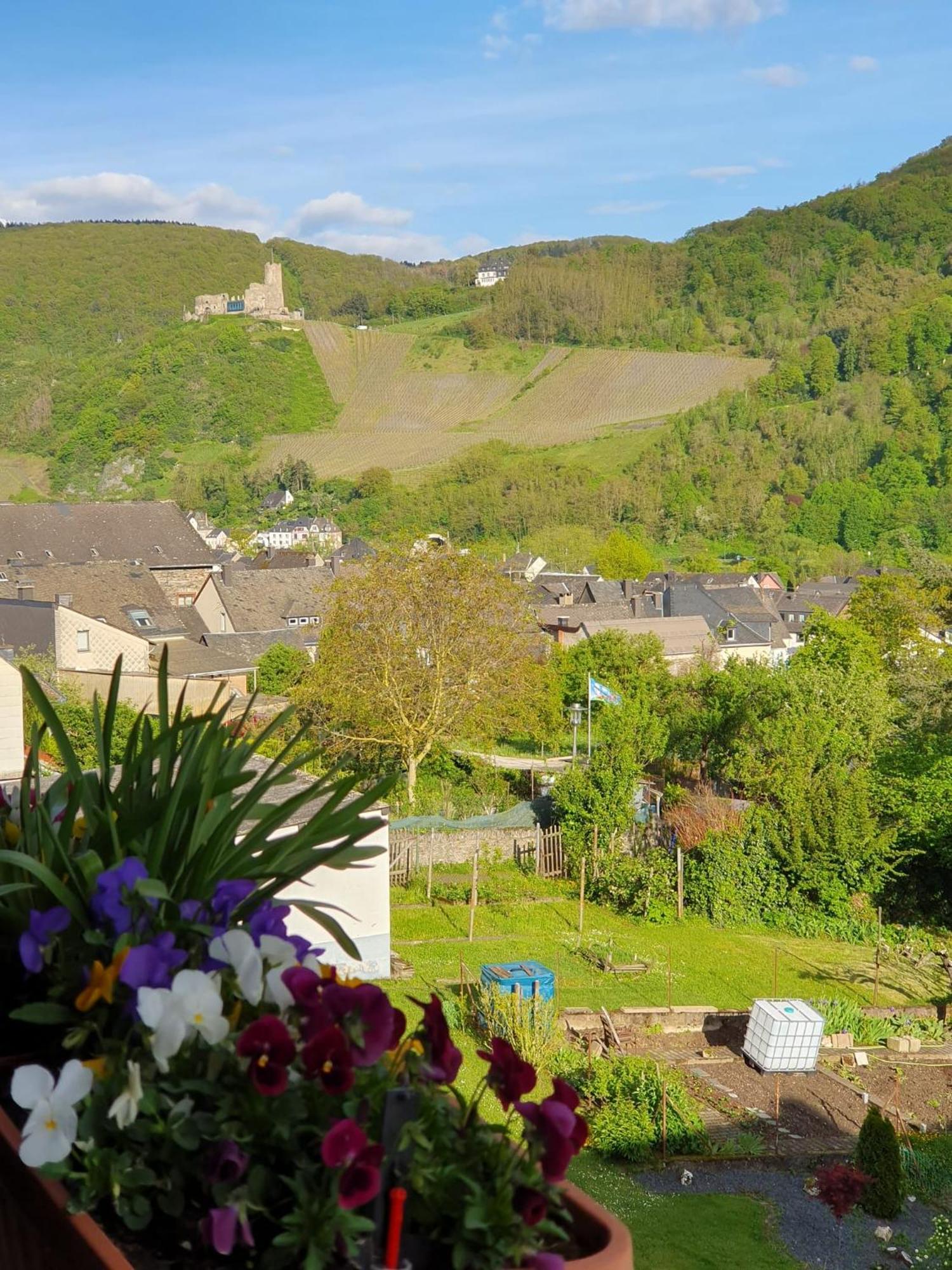Ferienwohnung Bauer Verbandsgemeinde Verbandsgemeinde Bernkastel-Kues Buitenkant foto