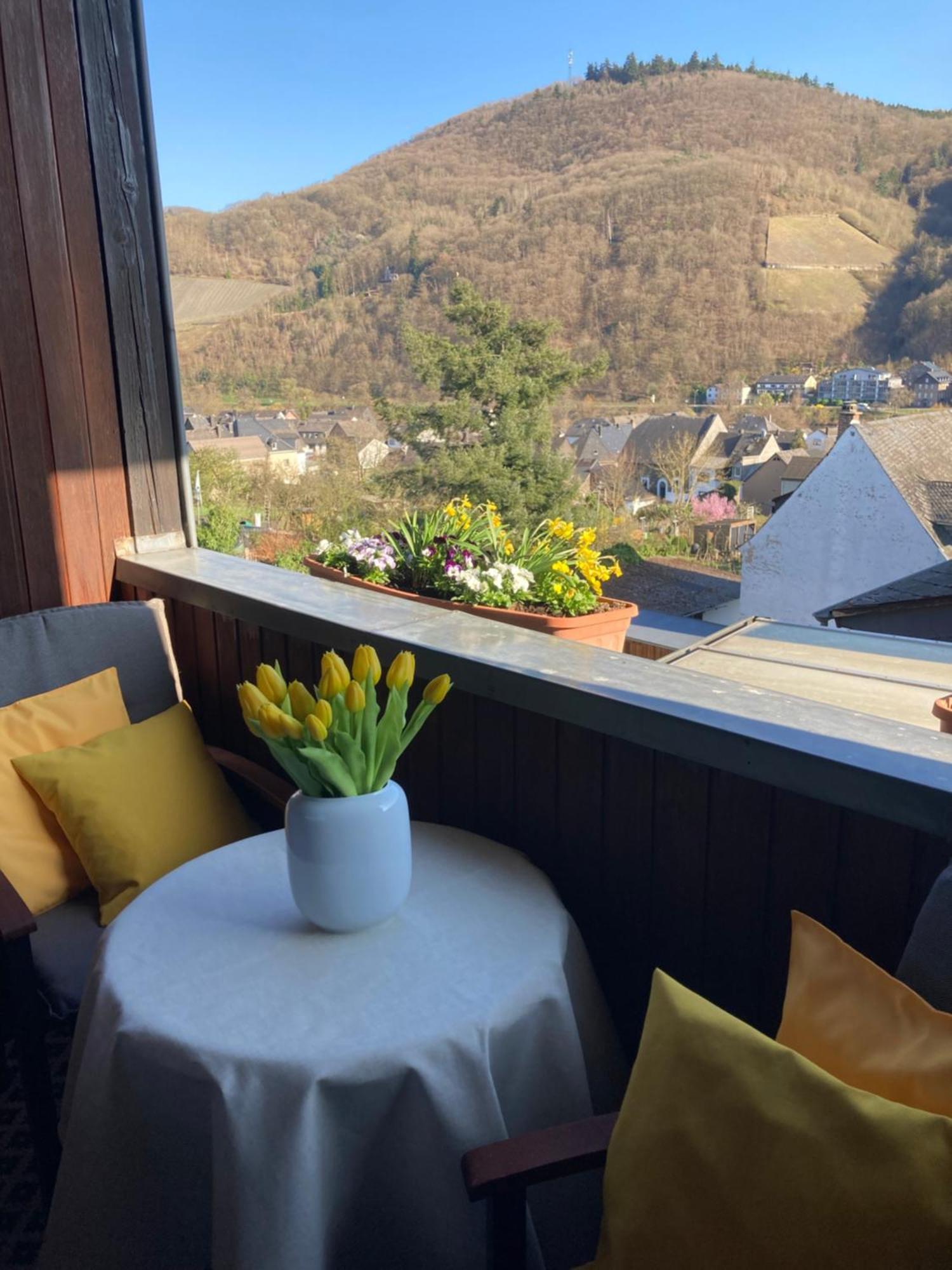 Ferienwohnung Bauer Verbandsgemeinde Verbandsgemeinde Bernkastel-Kues Buitenkant foto