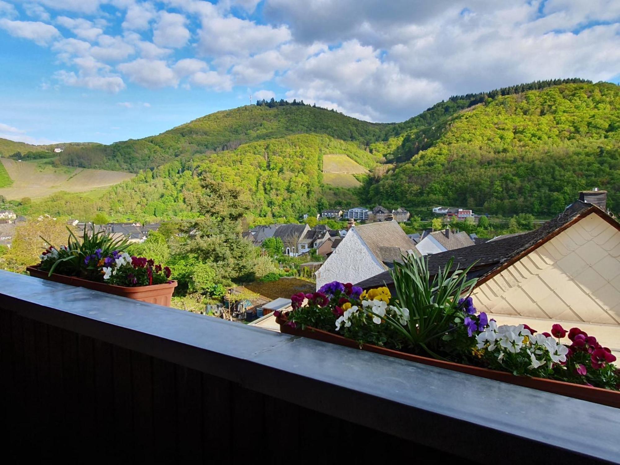 Ferienwohnung Bauer Verbandsgemeinde Verbandsgemeinde Bernkastel-Kues Buitenkant foto